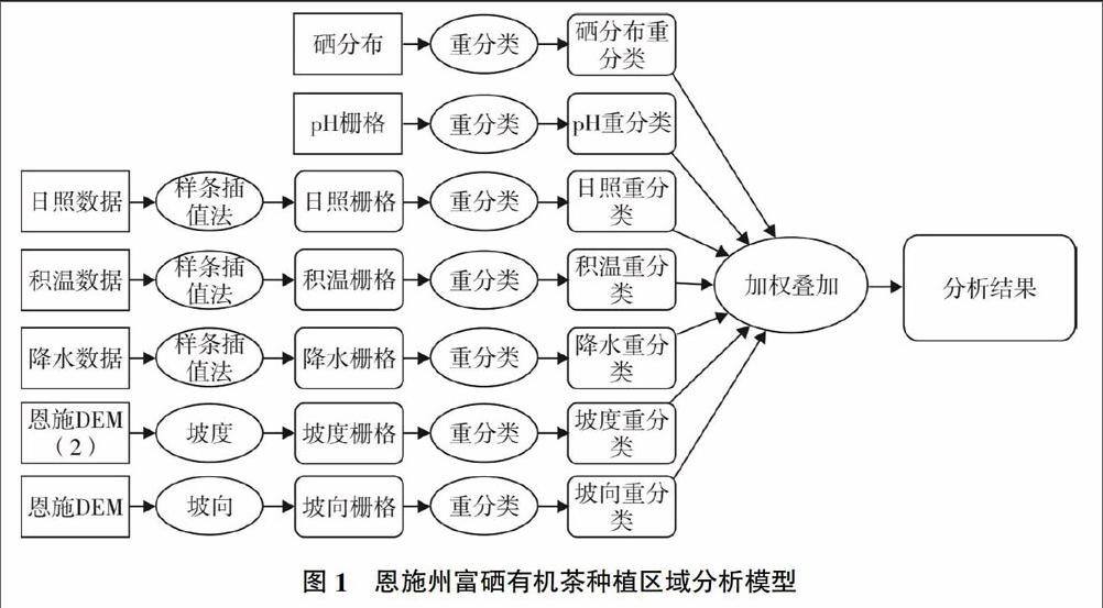 富硒茶茶种植方法（富硒茶生长环境）-硒宝网