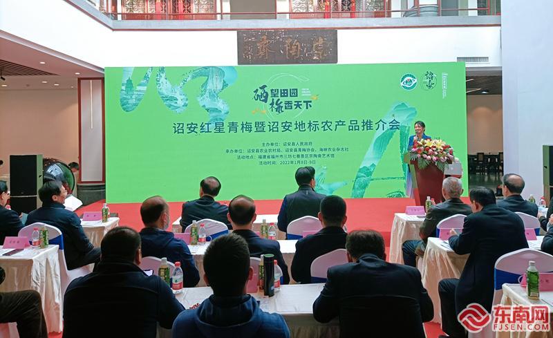 诏安富硒八仙茶属什么茶（诏安八仙茶多少钱一斤）-硒宝网