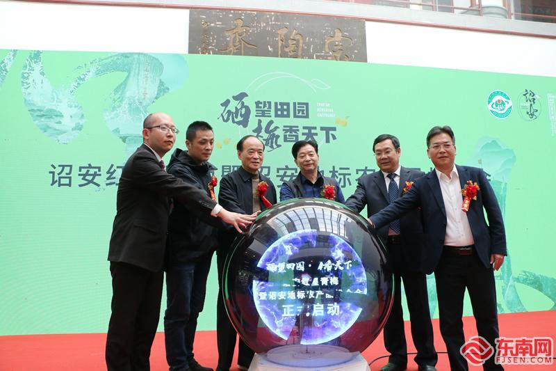 诏安富硒八仙茶属什么茶（诏安八仙茶多少钱一斤）-硒宝网