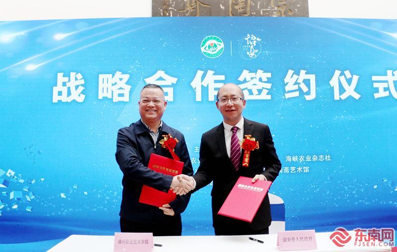 诏安富硒八仙茶属什么茶（诏安八仙茶多少钱一斤）-硒宝网