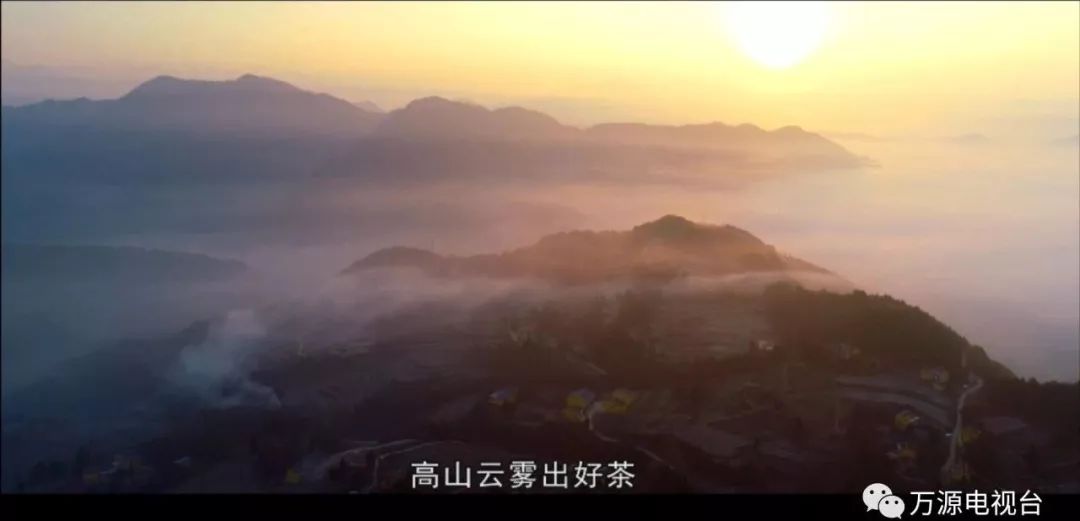 中国富硒茶之都（富硒茶品种）-硒宝网