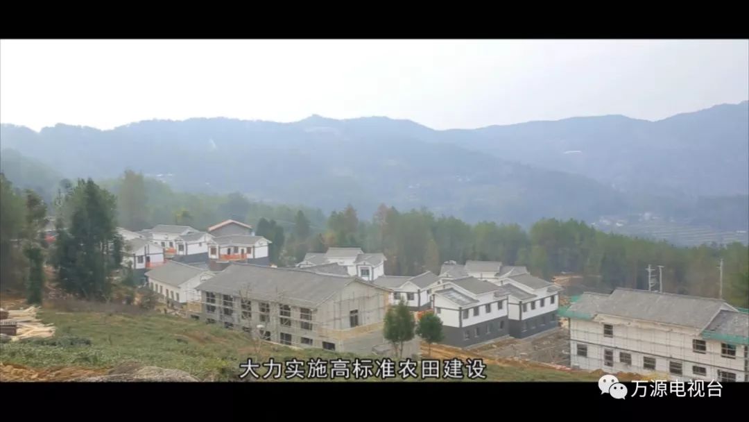 中国富硒茶之都（富硒茶品种）-硒宝网