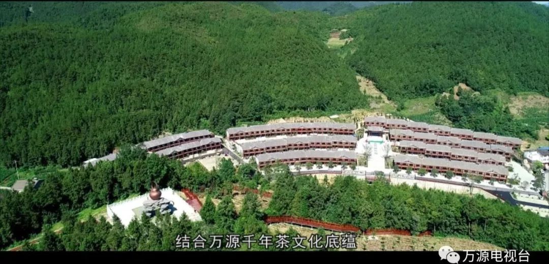 中国富硒茶之都（富硒茶品种）-硒宝网