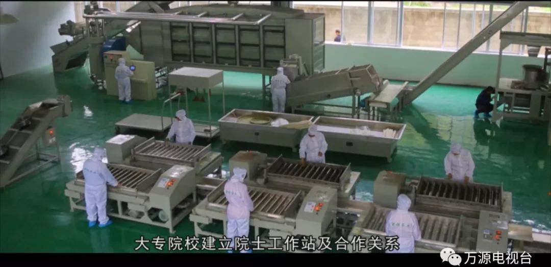 中国富硒茶之都（富硒茶品种）-硒宝网