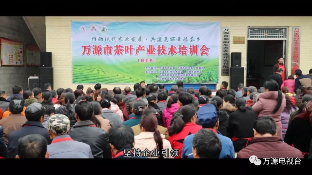 中国富硒茶之都（富硒茶品种）-硒宝网