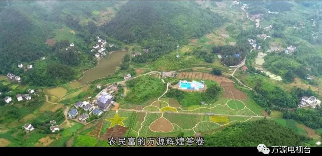 中国富硒茶之都（富硒茶品种）-硒宝网