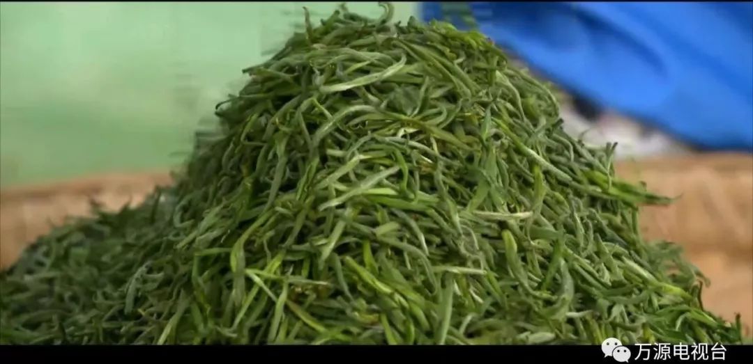 中国富硒茶之都（富硒茶品种）-硒宝网