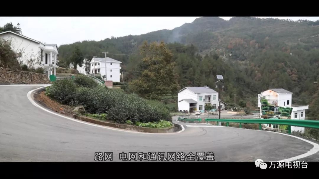 中国富硒茶之都（富硒茶品种）-硒宝网