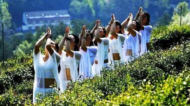 怎么推广贵州锌硒茶叶(投资贵州锌硒茶是传销)-硒宝网