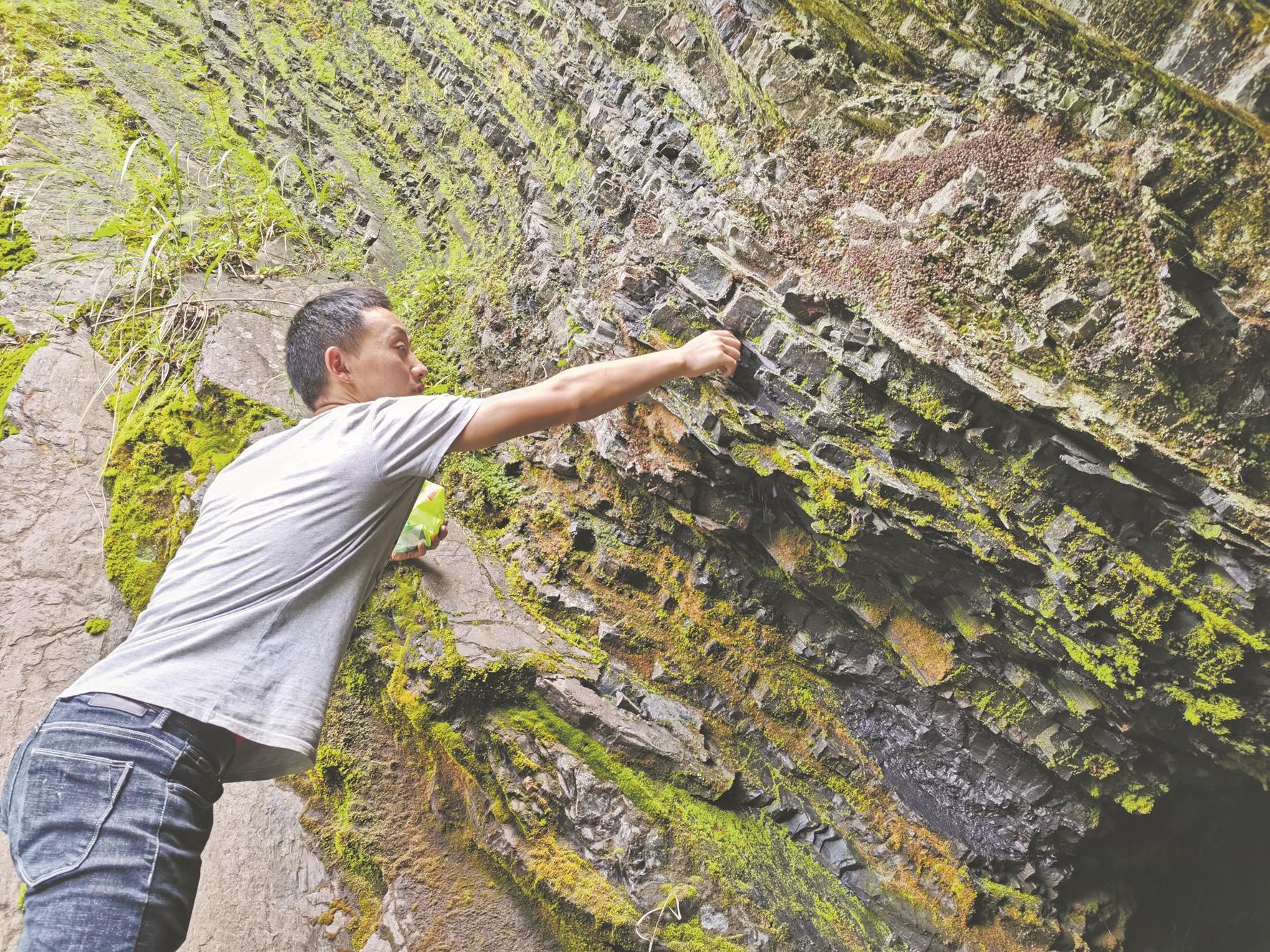 世界富硒之都（恩施为什么是世界硒都）-硒宝网