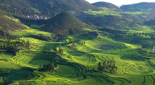 锌硒茶茶文化比赛(凤冈锌硒茶宣传语)-硒宝网