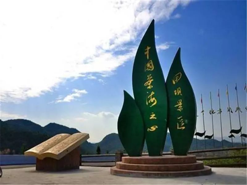 锌硒茶茶文化比赛(凤冈锌硒茶宣传语)-硒宝网