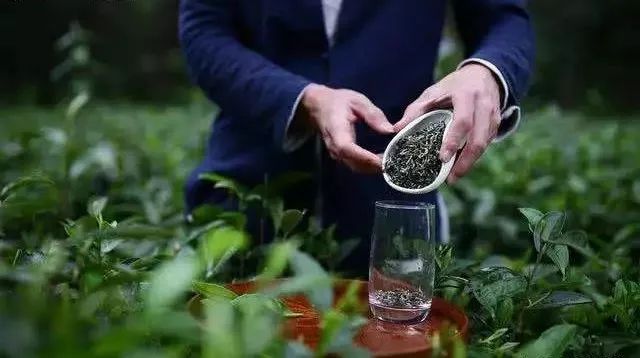 锌硒茶茶文化比赛(凤冈锌硒茶宣传语)-硒宝网