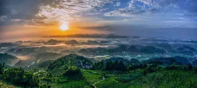 锌硒茶茶文化比赛(凤冈锌硒茶宣传语)-硒宝网