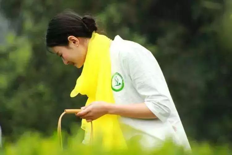 锌硒茶茶文化比赛(凤冈锌硒茶宣传语)-硒宝网