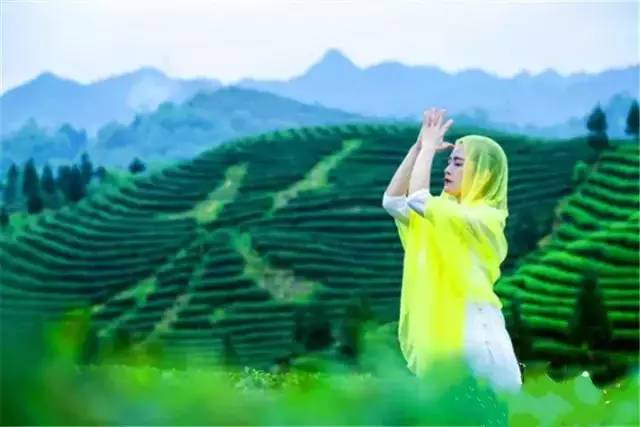 锌硒茶茶文化比赛(凤冈锌硒茶宣传语)-硒宝网