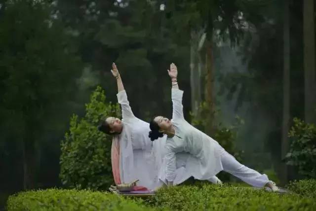 锌硒茶茶文化比赛(凤冈锌硒茶宣传语)-硒宝网