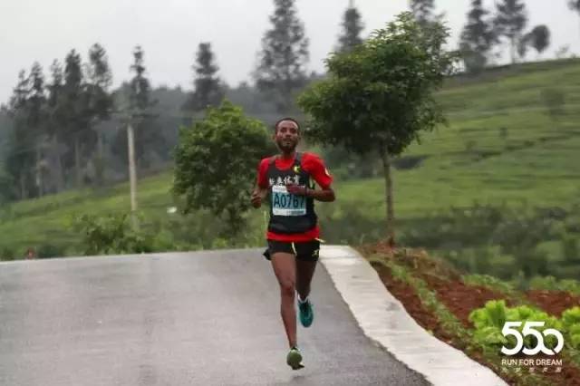 锌硒茶茶文化比赛(凤冈锌硒茶宣传语)-硒宝网