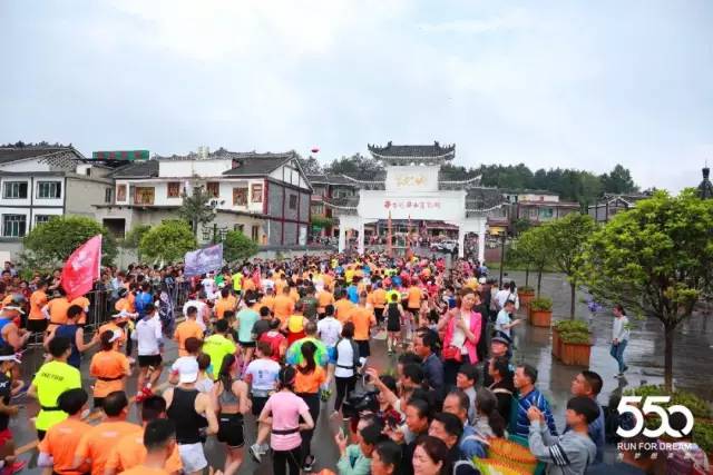 锌硒茶茶文化比赛(凤冈锌硒茶宣传语)-硒宝网