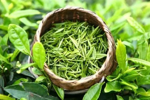 锌硒茶茶文化比赛(凤冈锌硒茶宣传语)-硒宝网