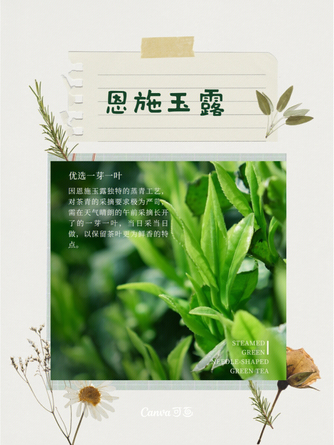 硒都恩施玉露茶(恩施玉露和恩施硒茶哪个好)-硒宝网