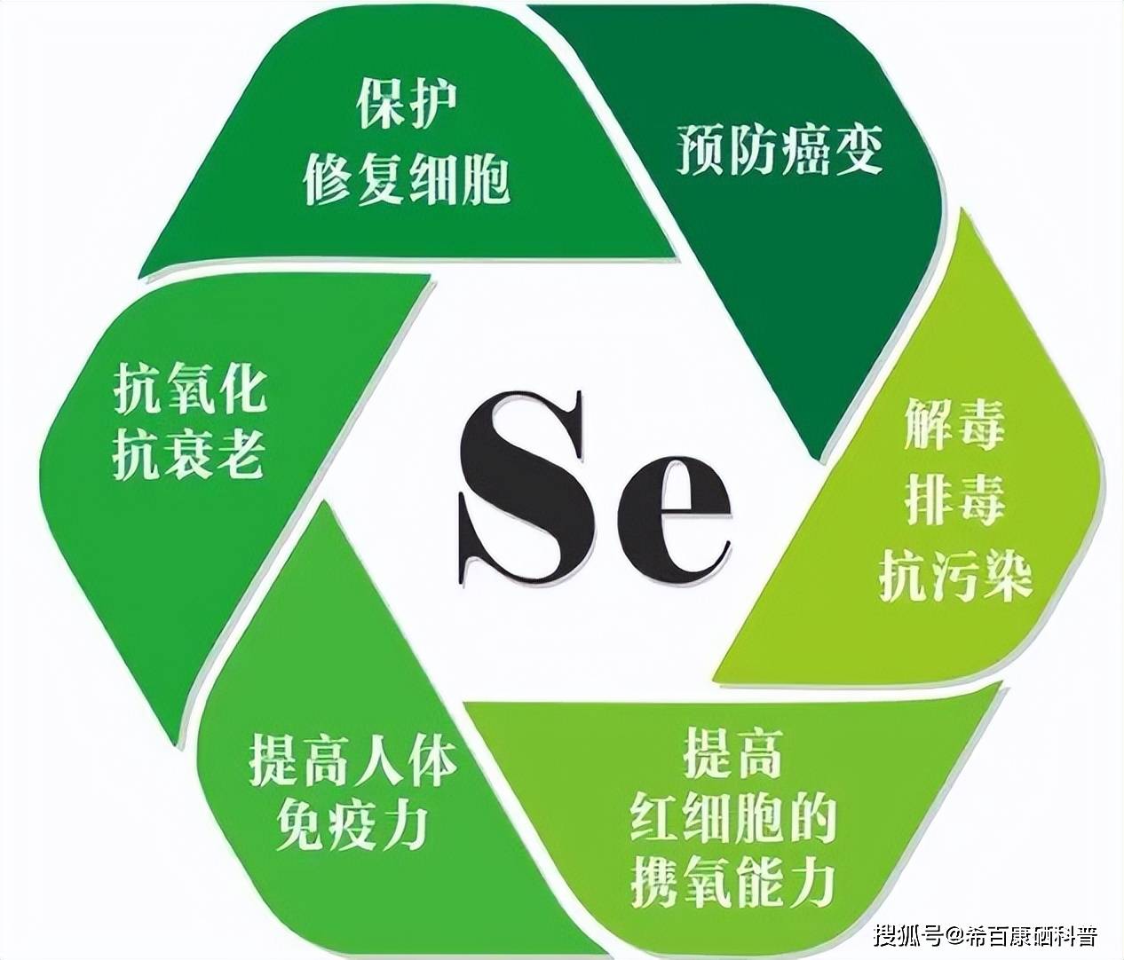 硒的功效与作用（元素硒对人体健康的作用）-硒宝网