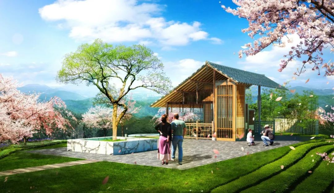 硒茶小镇在哪里（恩施女儿城硒茶小镇）-硒宝网