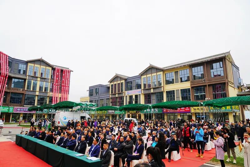 硒茶投资（硒茶价格）-硒宝网