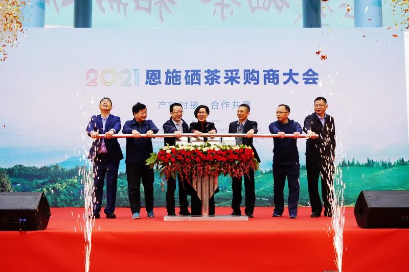 硒茶投资（硒茶价格）-硒宝网