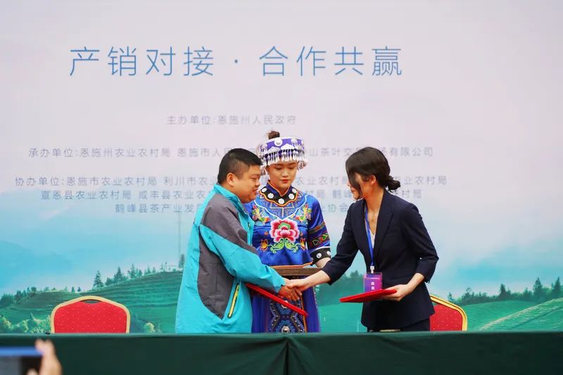 硒茶投资（硒茶价格）-硒宝网