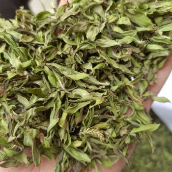 锌硒茶叶提香(硒锌茶是什么茶)-硒宝网