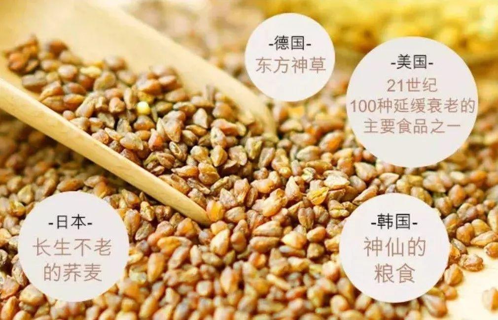 天然硒苦荞茶多少钱一盒(苦荞茶含硒量多少)-硒宝网