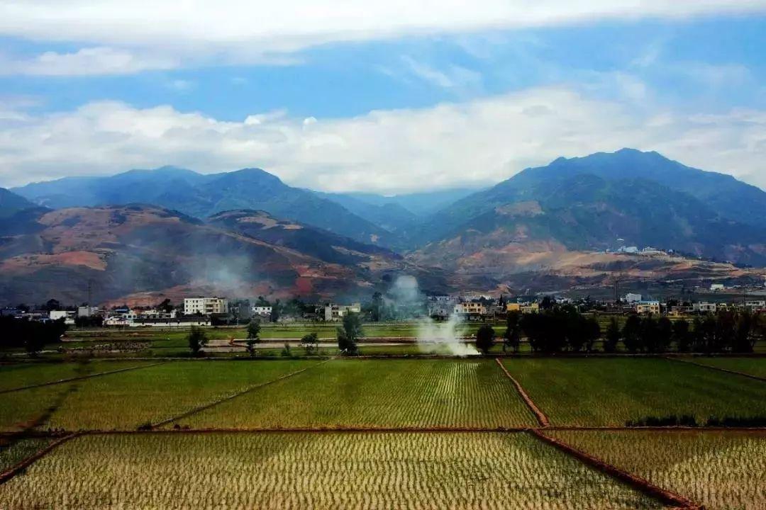 天然硒苦荞茶多少钱一盒(苦荞茶含硒量多少)-硒宝网