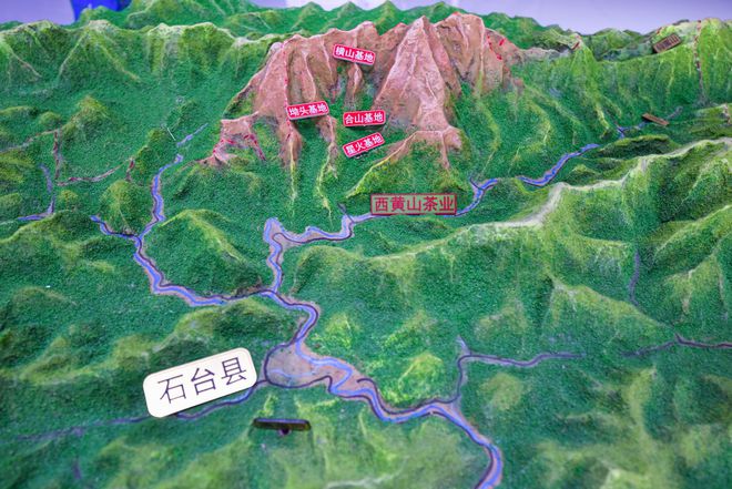 石台硒茶是属于什么茶(石台硒茶价格表一盒)-硒宝网