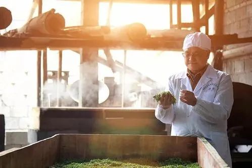 恩施玉露简介(恩施玉露历史渊源)-硒宝网