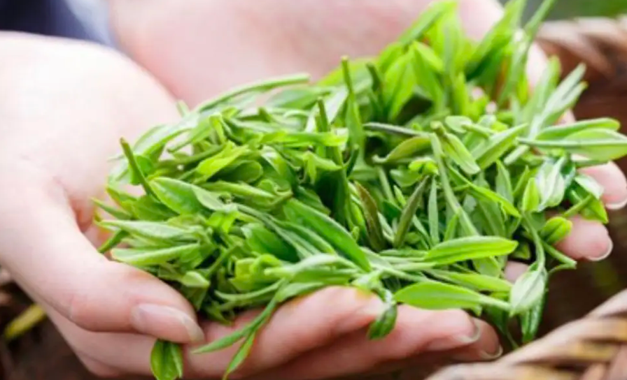 恩施玉露属于什么档次（恩施玉露是十大名茶吗）-硒宝网