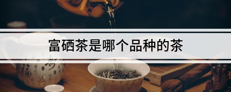 什么叫富硒茶叶（富硒茶属于绿茶吗）-硒宝网
