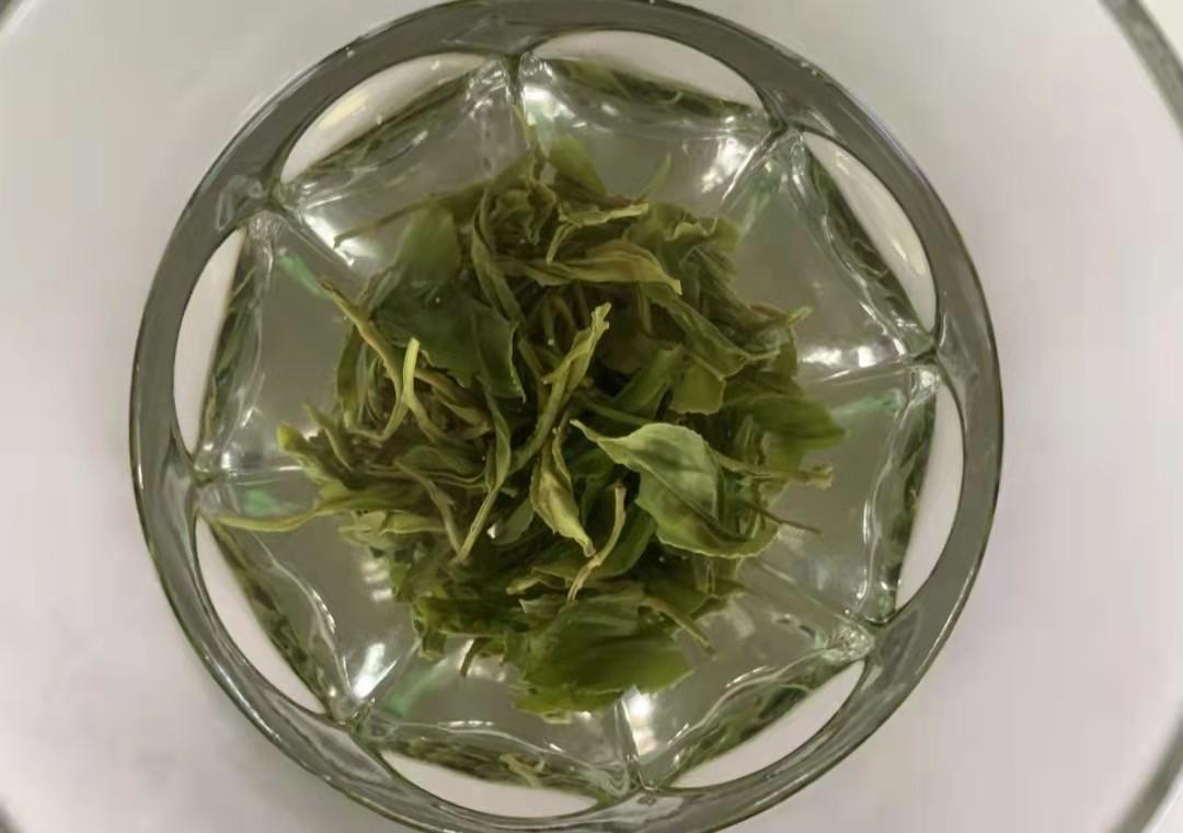 施恩富硒茶（施恩富硒茶有什么功效）-硒宝网