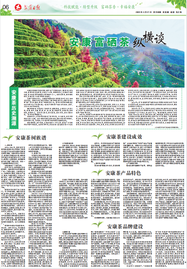 安康富硒茶发展情况(安康富硒茶产业)-硒宝网