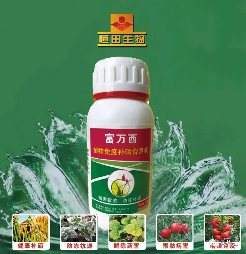 富硒肥料生产厂家（富硒肥料的好处）-硒宝网