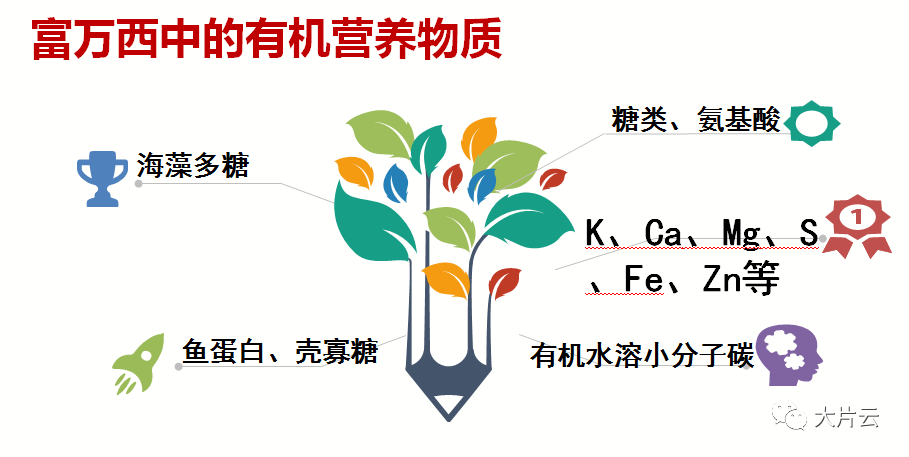 富硒肥料生产厂家（富硒肥料的好处）-硒宝网