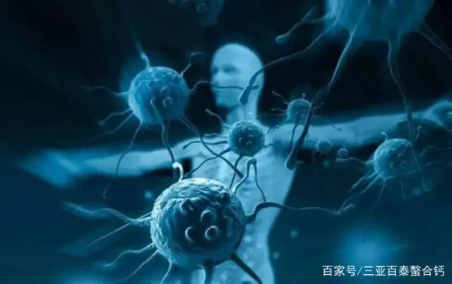 含硒量高的食物有哪些?(富硒食物有哪些)-硒宝网