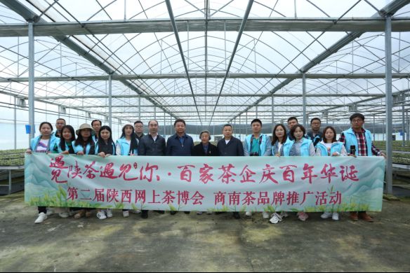 陕西汉中富硒茶叶(陕西富硒茶叶价格表)-硒宝网