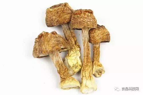 哪些食物含硒量高（硒含量多的食物）-硒宝网