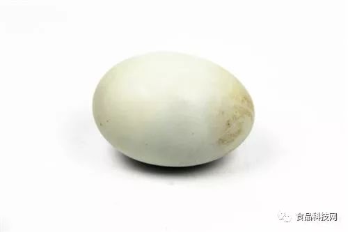 哪些食物含硒量高（硒含量多的食物）-硒宝网