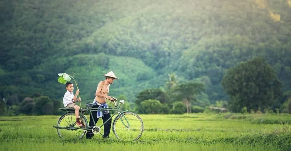 什么水果含硒（硒元素含量最高的食物）-硒宝网