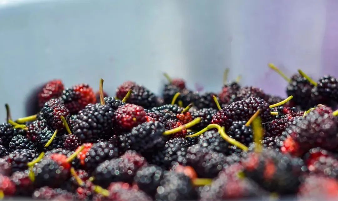 什么水果含硒（硒元素含量最高的食物）-硒宝网