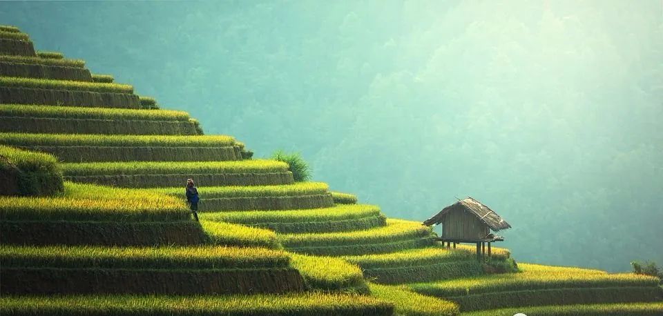 什么水果含硒（硒元素含量最高的食物）-硒宝网