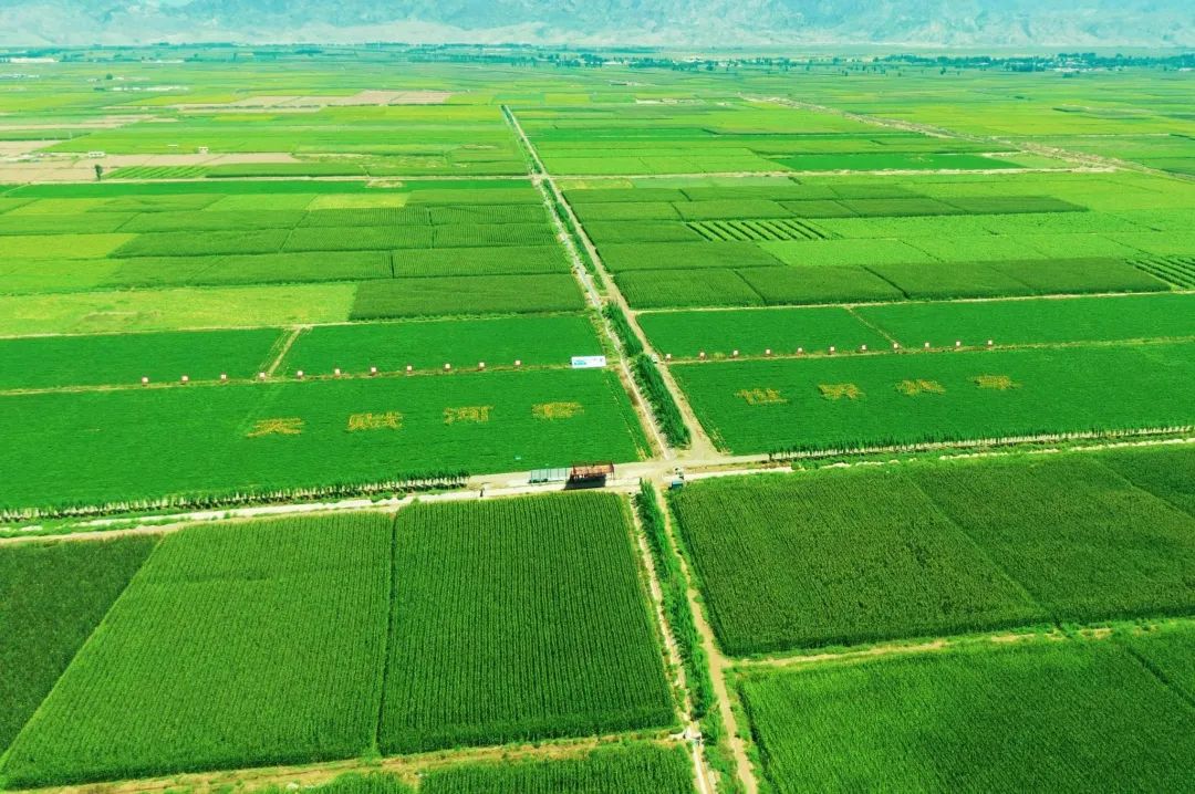 食品中硒含量标准（含硒、富硒和高硒有什么区别）-硒宝网