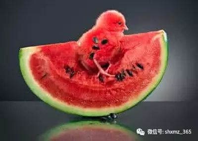 含硒最高的水果(水果中含硒最高20名)-硒宝网